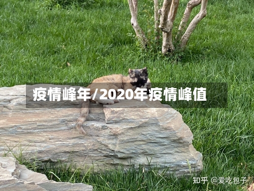 疫情峰年/2020年疫情峰值