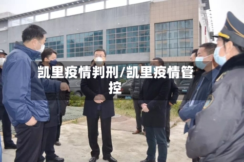 凯里疫情判刑/凯里疫情管控
