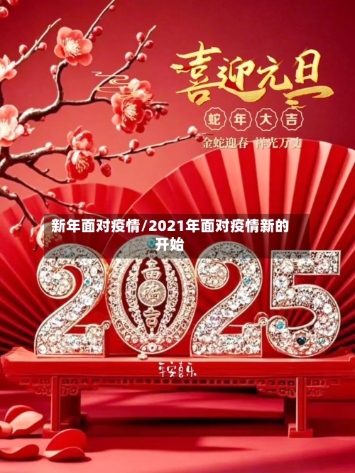 新年面对疫情/2021年面对疫情新的开始