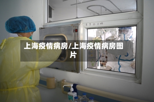 上海疫情病房/上海疫情病房图片