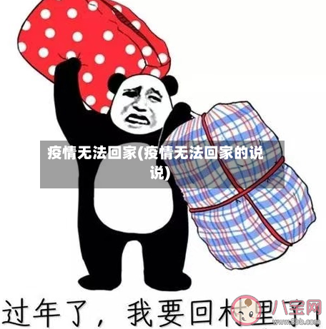 疫情无法回家(疫情无法回家的说说)