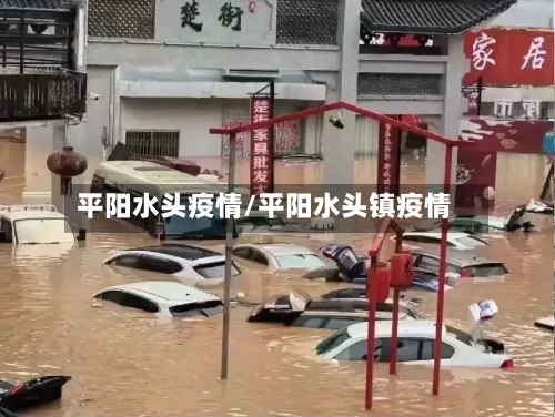 平阳水头疫情/平阳水头镇疫情