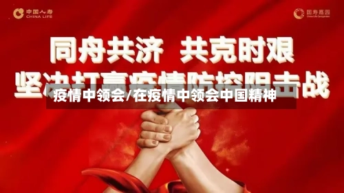 疫情中领会/在疫情中领会中国精神