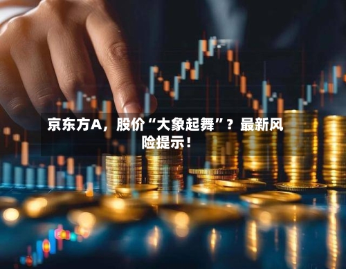 京东方A，股价“大象起舞”？最新风险提示！