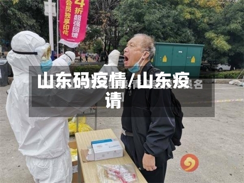 山东码疫情/山东疫请
