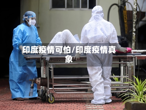 印度疫情可怕/印度疫情真象