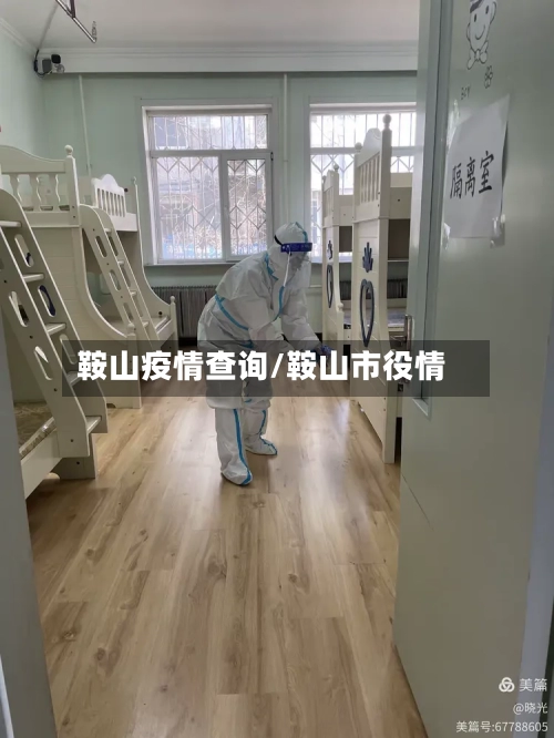 鞍山疫情查询/鞍山市役情