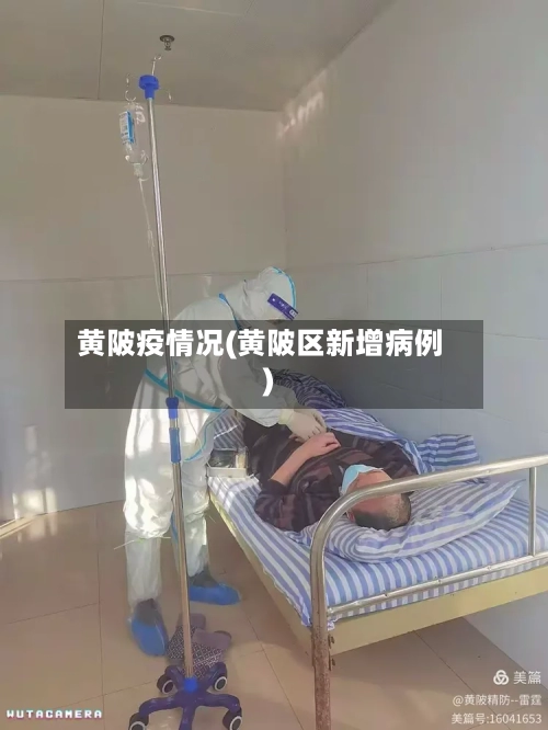 黄陂疫情况(黄陂区新增病例)