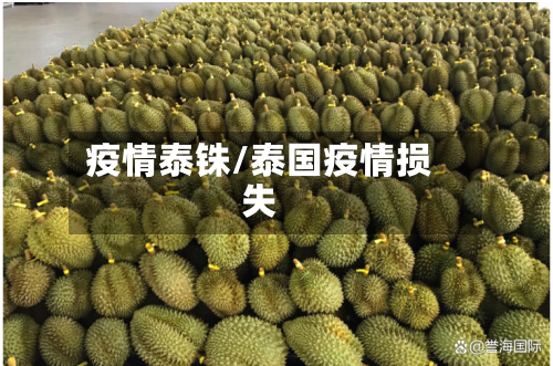 疫情泰铢/泰国疫情损失