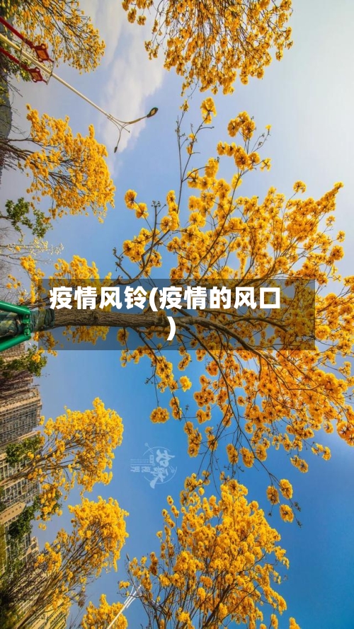 疫情风铃(疫情的风口)