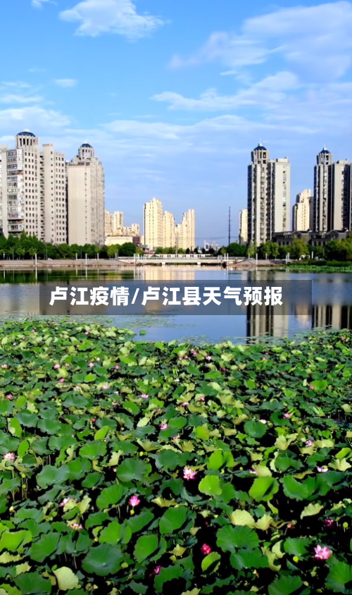 卢江疫情/卢江县天气预报