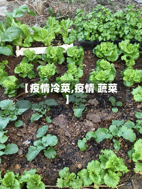 【疫情冷菜,疫情 蔬菜】