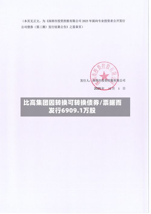 比高集团因转换可转换债券/票据而发行6909.1万股