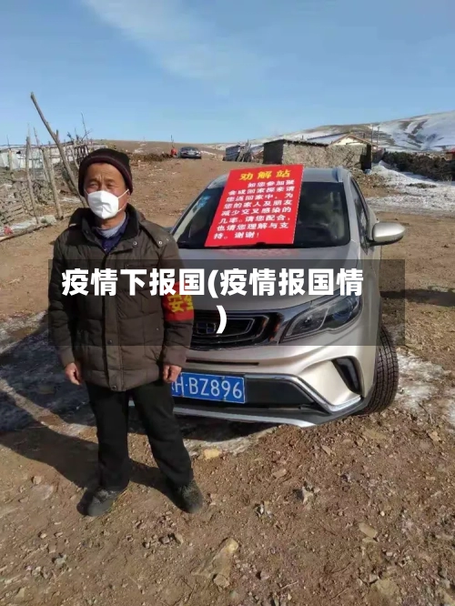 疫情下报国(疫情报国情)
