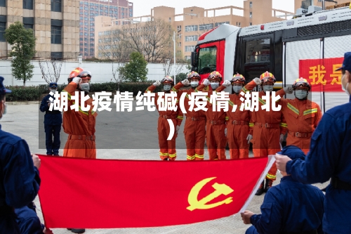 湖北疫情纯碱(疫情,湖北)