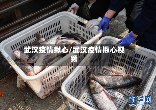 武汉疫情揪心/武汉疫情揪心视频