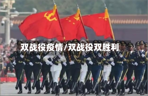 双战役疫情/双战役双胜利