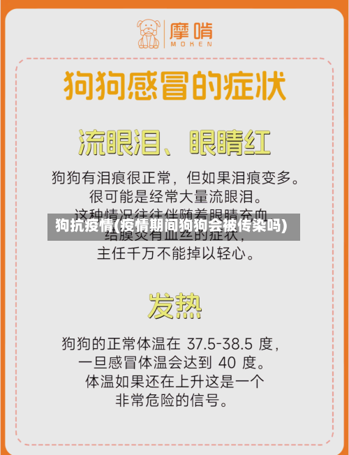 狗抗疫情(疫情期间狗狗会被传染吗)
