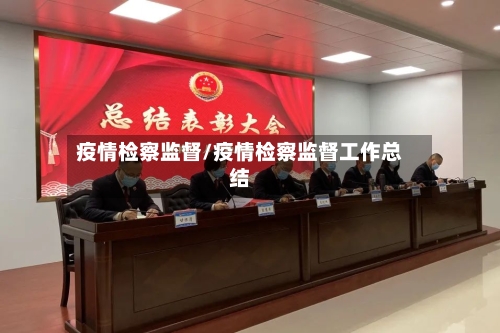 疫情检察监督/疫情检察监督工作总结