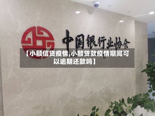 【小额信贷疫情,小额贷款疫情期间可以逾期还款吗】