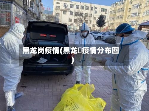 黑龙岗疫情(黑龙冮疫情分布图)