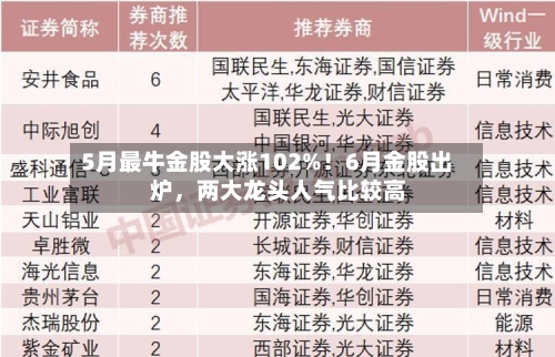5月最牛金股大涨102%!6月金股出炉,两大龙头人气比较高