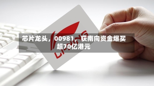 芯片龙头，00981，获南向资金爆买超70亿港元