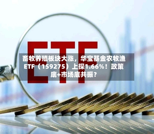畜牧养殖板块大涨，华宝基金农牧渔ETF（159275）上探1.66%！政策底+市场底共振？