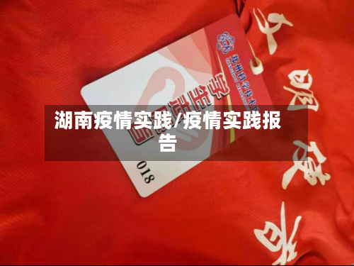 湖南疫情实践/疫情实践报告