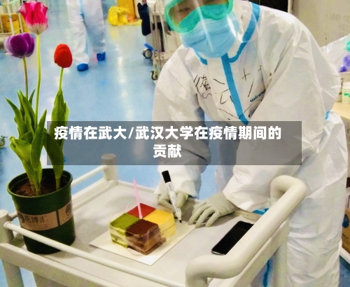 疫情在武大/武汉大学在疫情期间的贡献