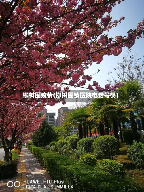 柳树圈疫情(柳树圈镇医院电话号码)