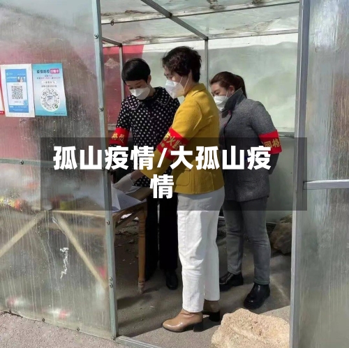 孤山疫情/大孤山疫情