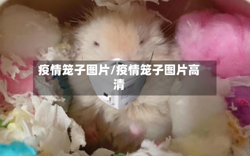 疫情笼子图片/疫情笼子图片高清