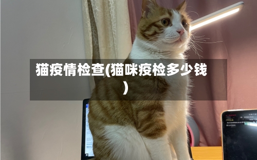 猫疫情检查(猫咪疫检多少钱)