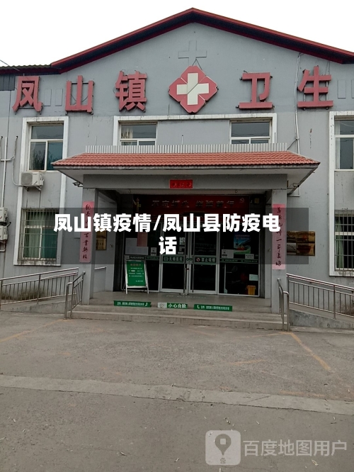 凤山镇疫情/凤山县防疫电话