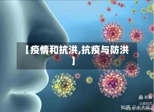 【疫情和抗洪,抗疫与防洪】