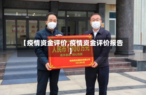 【疫情资金评价,疫情资金评价报告】